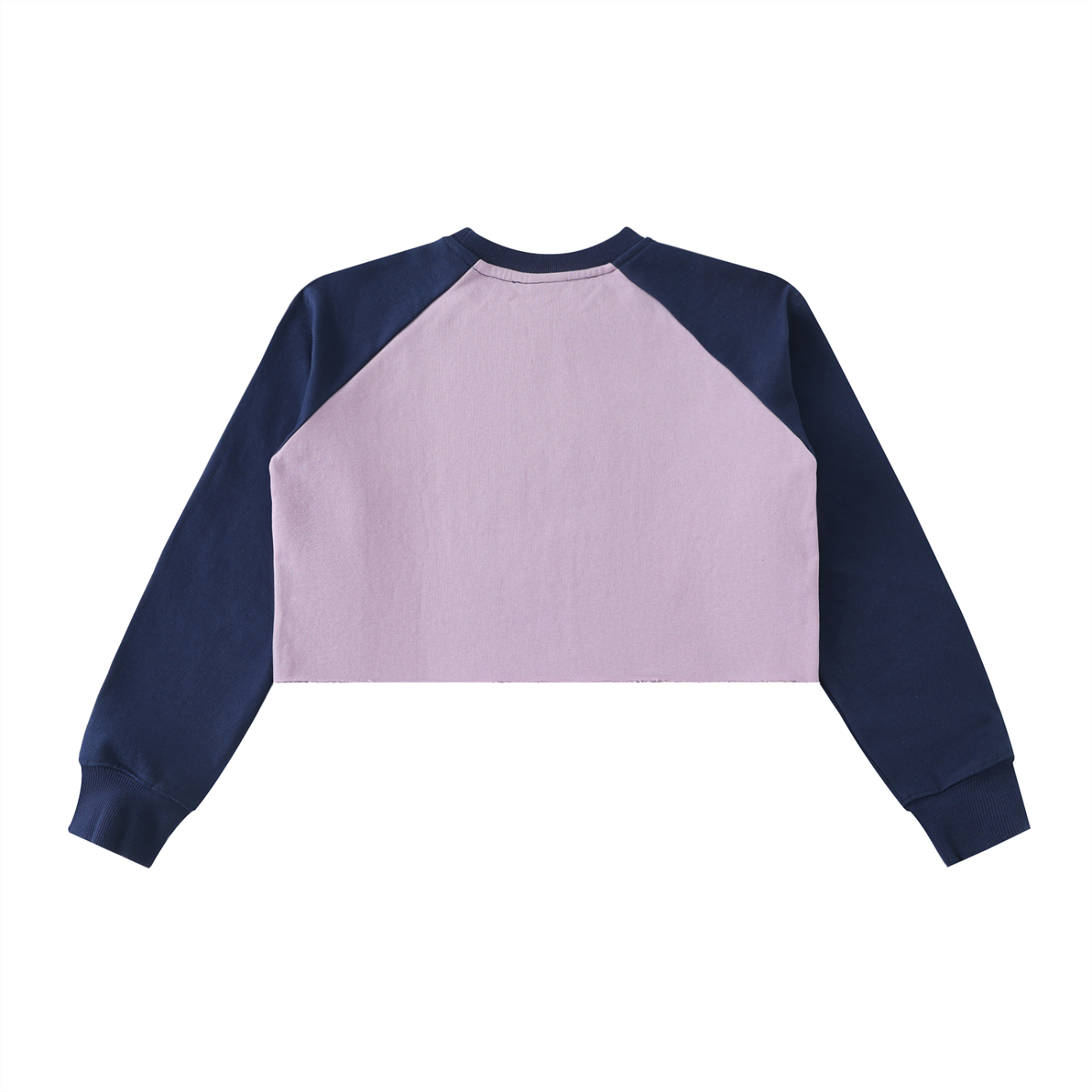 Raglan Crop Sweatshirt,Womens sweatshirt,raglan sleeve