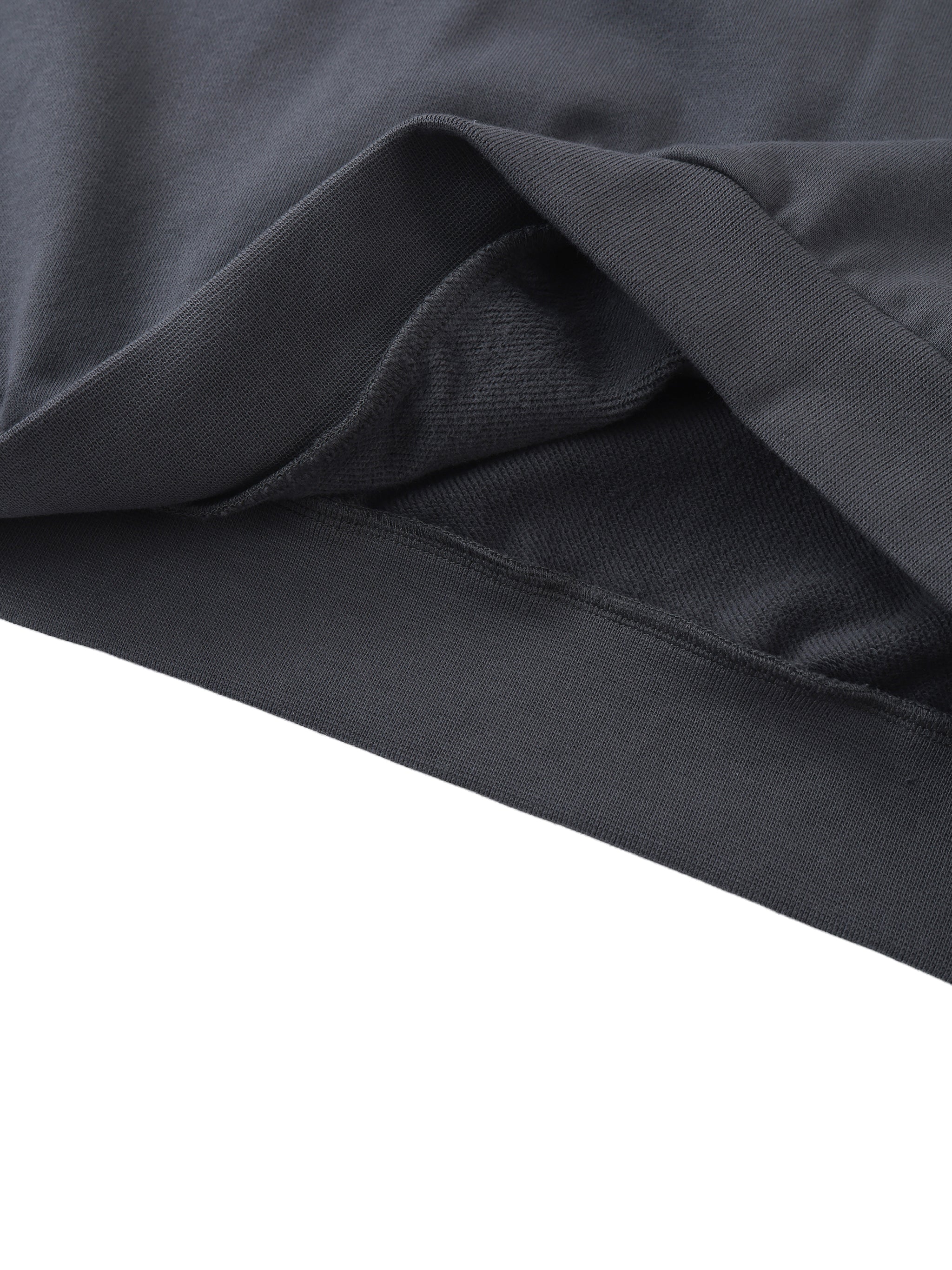 Sweatshirt,pehonix,Polo Sweatshirt,polo,Heavy Weight,New