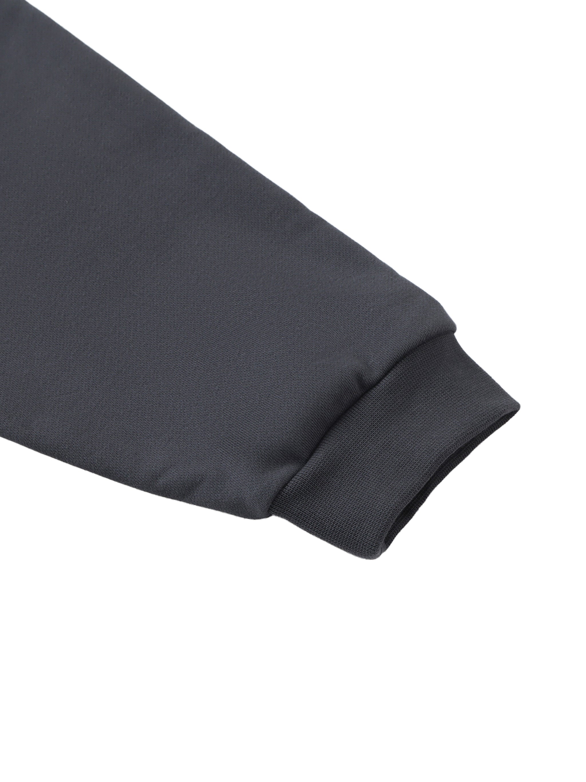 Sweatshirt,pehonix,Polo Sweatshirt,polo,Heavy Weight,New